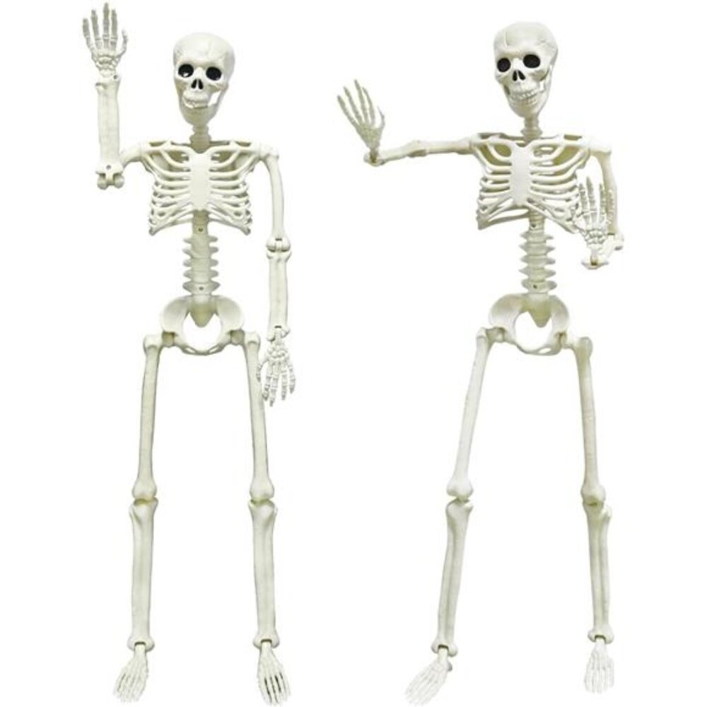 New 2PACK 36" Skeleton Halloween Decorations, 3ft Life Full Size Skeleton